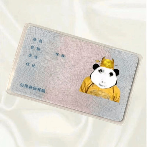 小红书同款可爱龙图身份证创意学生头像软卡套证件套透明小卡收纳