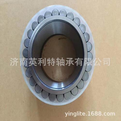 SL/RSL/NNF/NNCF/NNCL/NNC满装滚子轴承无外圈轴承塑料轴承