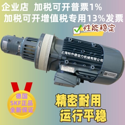 SKF多头泵组电机马达