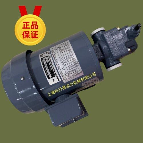 NOP泵电机25P700-220EVB-062
