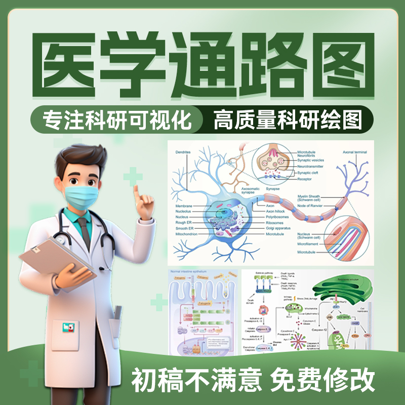 SCI科研绘图医学通路图代画模型图插图origin图文摘要美化机制图