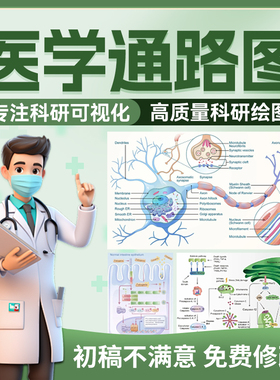 SCI科研绘图医学通路图代画模型图插图origin图文摘要美化机制图