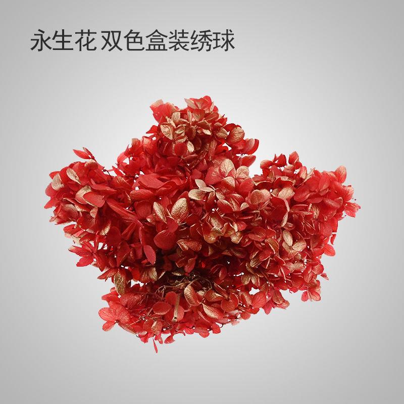 木绣球20g生日花材diy材料包保鲜花新娘头饰结婚团扇图片