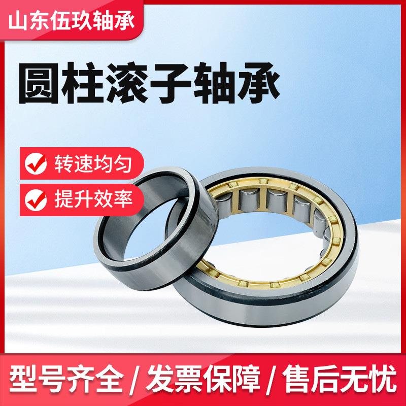 圆柱滚子轴承NJ313EM-C3NJ314EM-C3NJ315EM-C3二类非标轴承