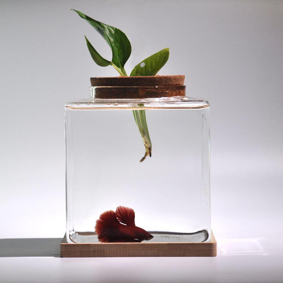 泰国斗鱼水培玻璃鱼缸带盖办公室桌面迷你小型正方形ins风