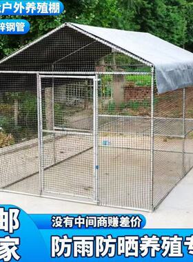 2026鸡棚鸡笼特大号家禽养殖兔笼防雨孔雀搭建鸽笼特大号大型家用