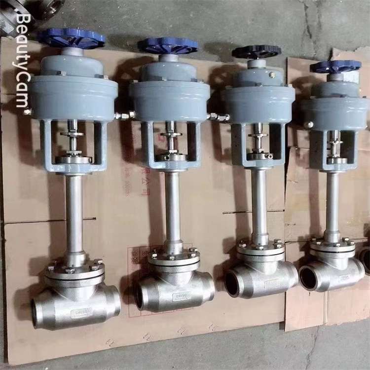 DZ41Y-16P DN25 法兰不锈钢304/316低温加长闸阀-不锈钢低温阀
