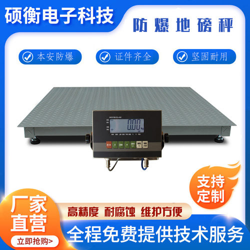 防爆电子地磅1-3TXK3190-A8Exib化工厂专用防爆磅称CT4级本安型