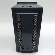 XSD/A-H2IIA1B1多通道热工表上海上润仪表