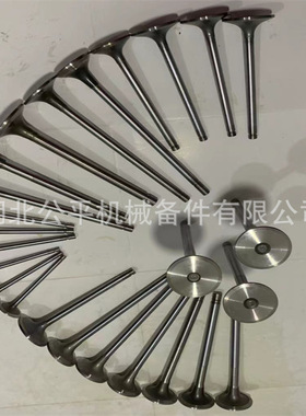 厂家直供现货批发零售用K19发动机进气门3803518/3052820/207241