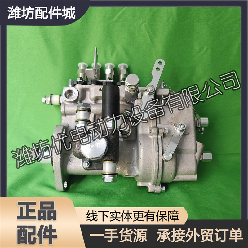 适用于潍柴发电机组WP2.3D25E200高压油泵1001223545喷油泵总成