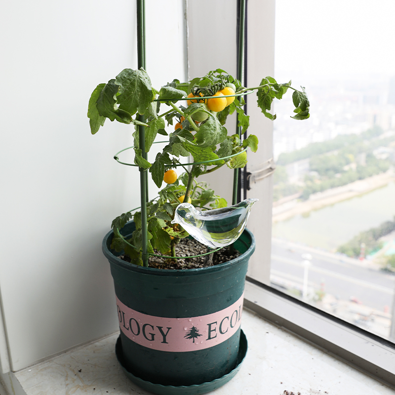 植物爬架 爬藤架 丝瓜架豆角架子黄瓜瓜架家用户外阳台花月季绿萝