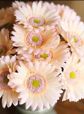 Handmade Gerbera Artificial Flower Fashion Flower  7