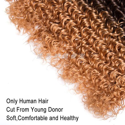 Peruvian human hair bundles deep wave Colorful hair 1b-4-30