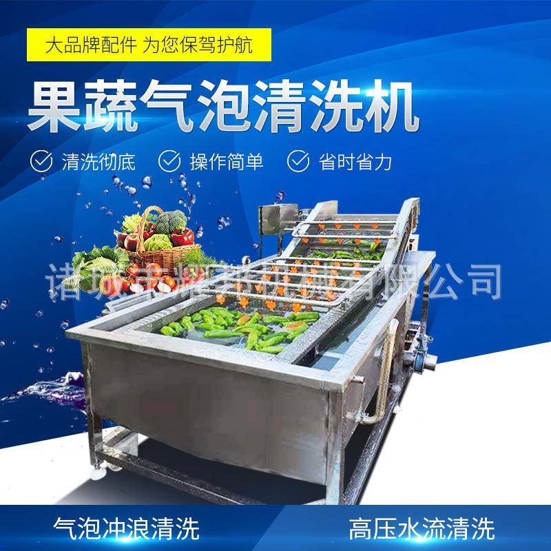 连续式果蔬气泡清洗机葡萄水果蔬菜清洗设备鼓泡全自动洗菜机器