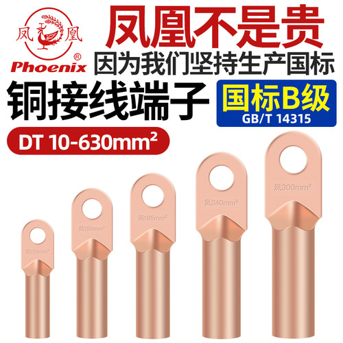 凤凰DT铜鼻子接线端子