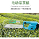 展航电动采茶机外转子变速小型充电式 茶叶收割采摘茶机修剪 便携式