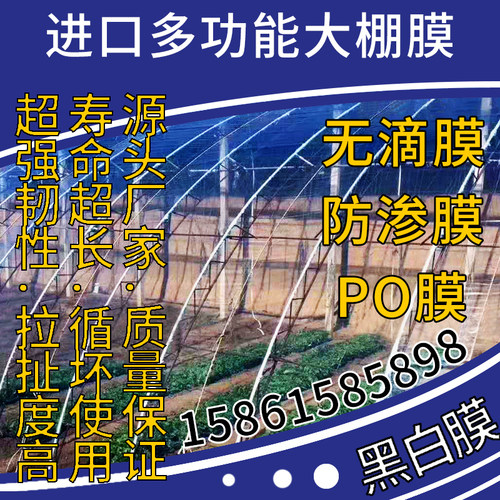 大棚膜无滴膜黑白膜养殖膜PO膜加厚透明蔬菜大棚温室塑料灌浆膜