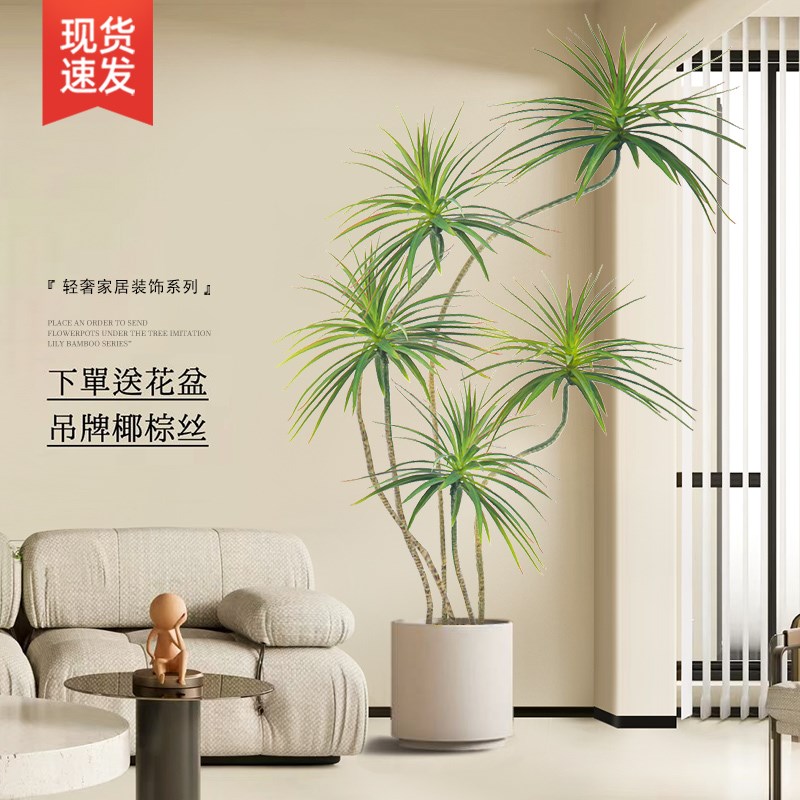 龙血树客厅绿植室内大型盆景好养落地盆栽旺宅植物花盆千年木禄植