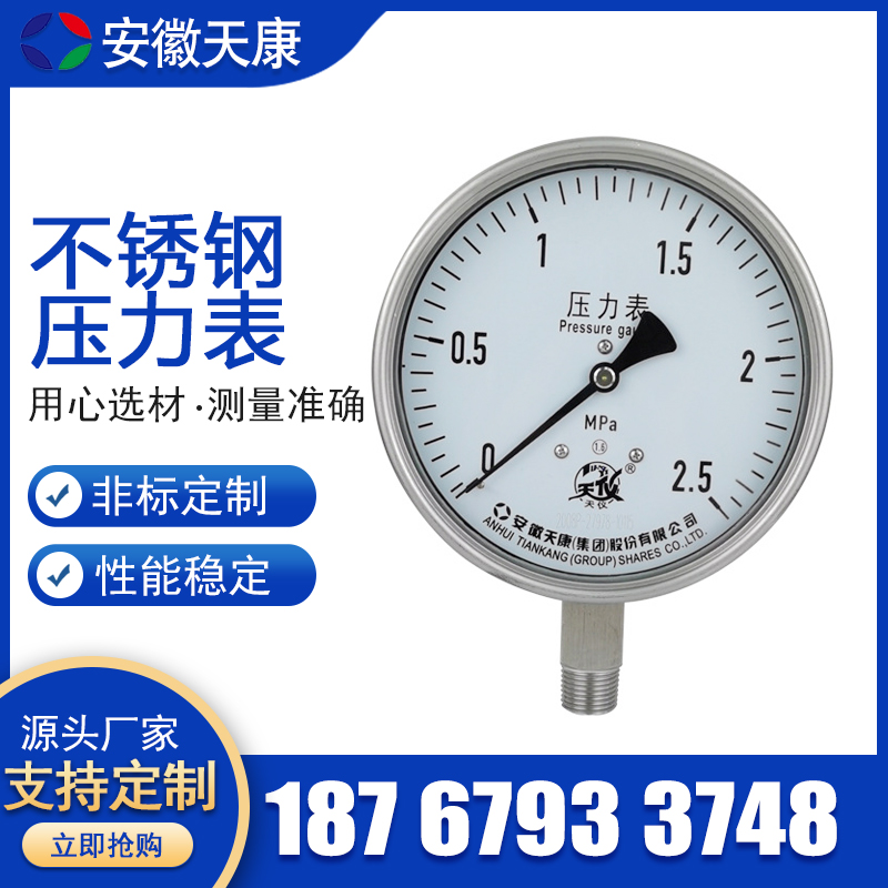 天康/艾能不锈钢压力表YB-100膜盒隔膜耐震双管双针差压/压力表。
