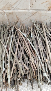 云南原生态鸡血藤手镯无节木手镯民戒指藤 族 风男女生日礼物