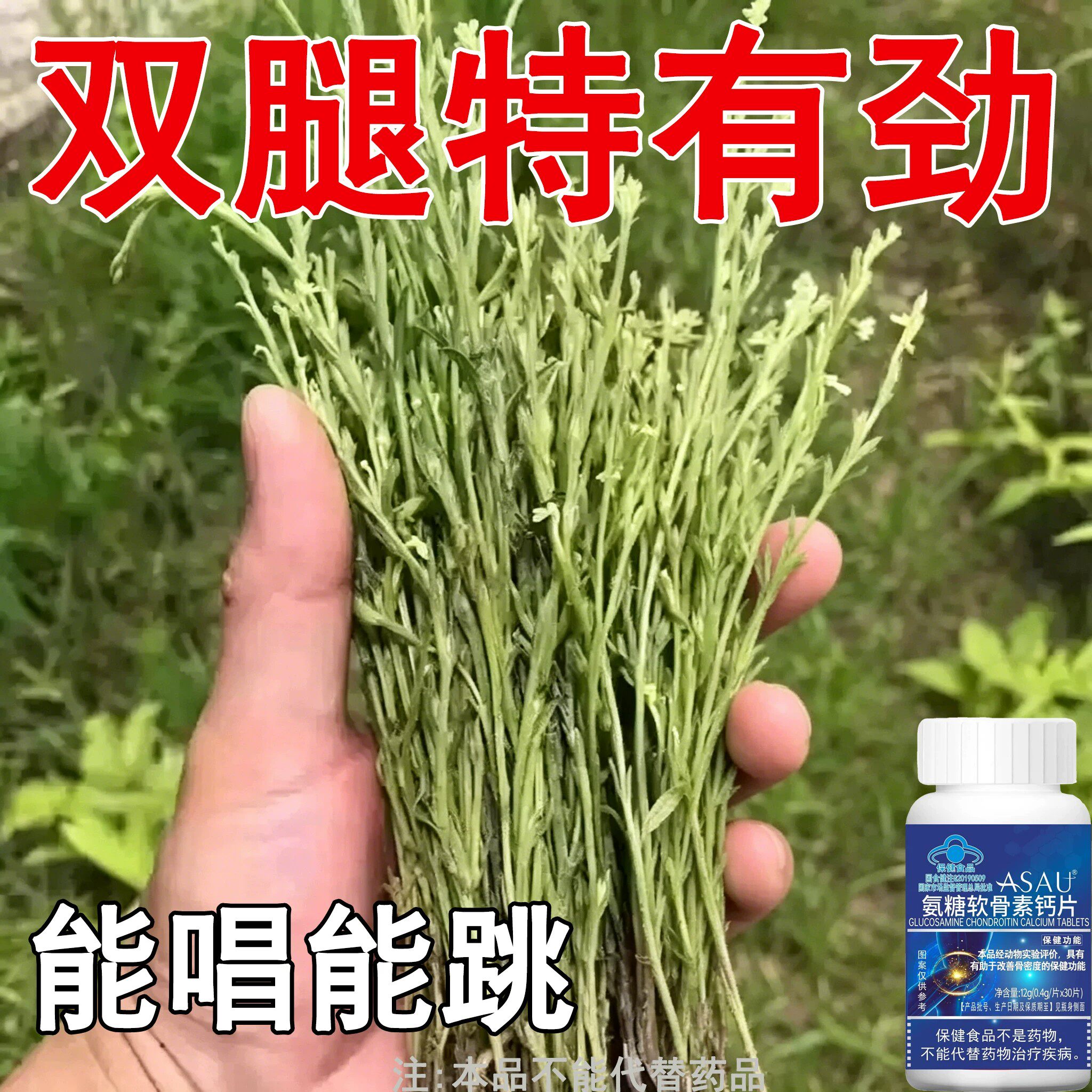 【长年双腿没劲】腿沉腿软无力走路困难体虚气虚血双补氨糖软骨片