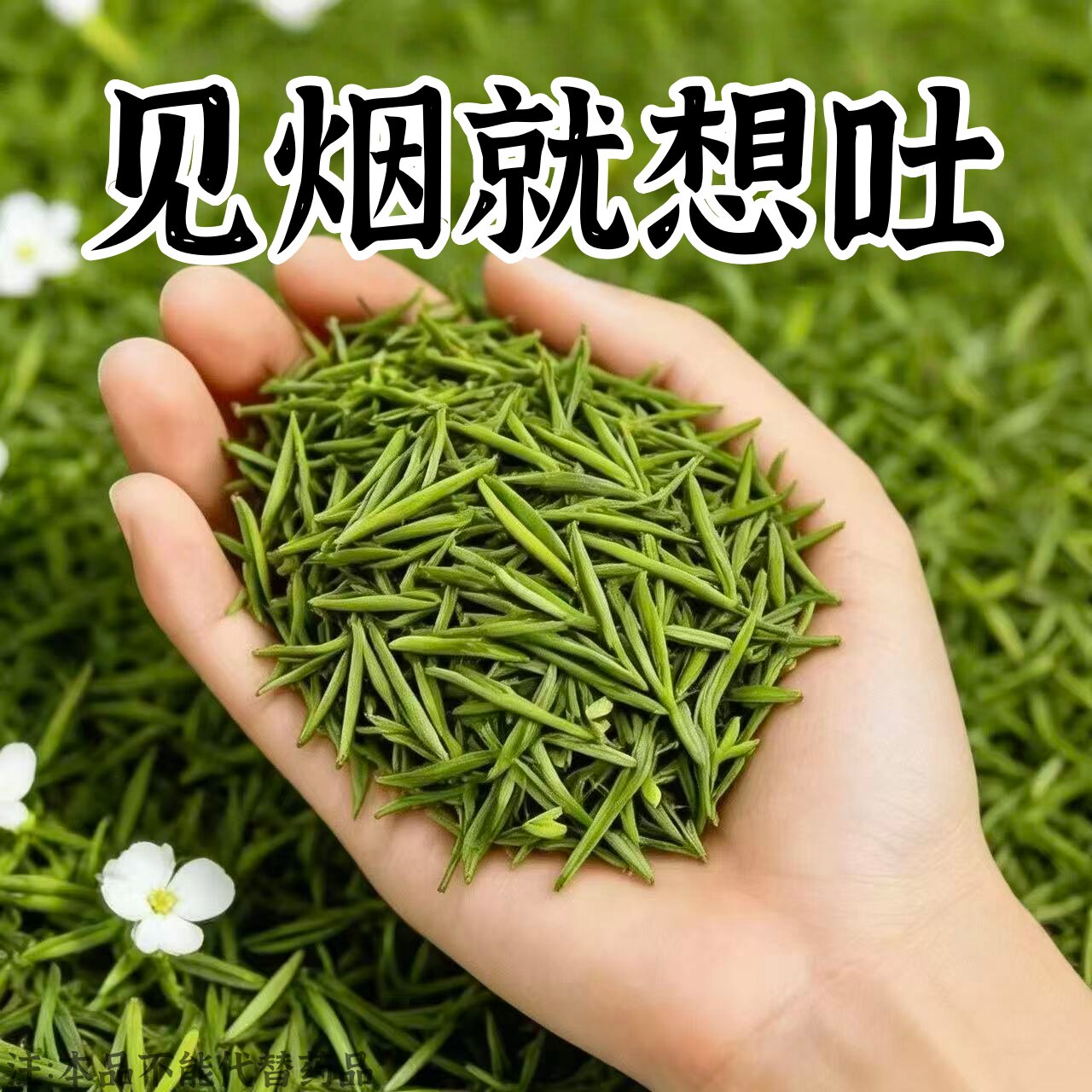 【烟瘾难耐】男女戒烟鱼腥草人参菊花薄荷润喉清肺戒烟茶