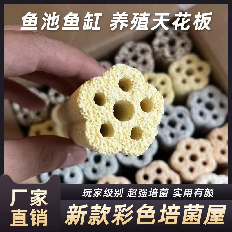 鱼缸梅花细菌屋滤材过滤器材料培菌屋细菌环培育远红外消化细菌球