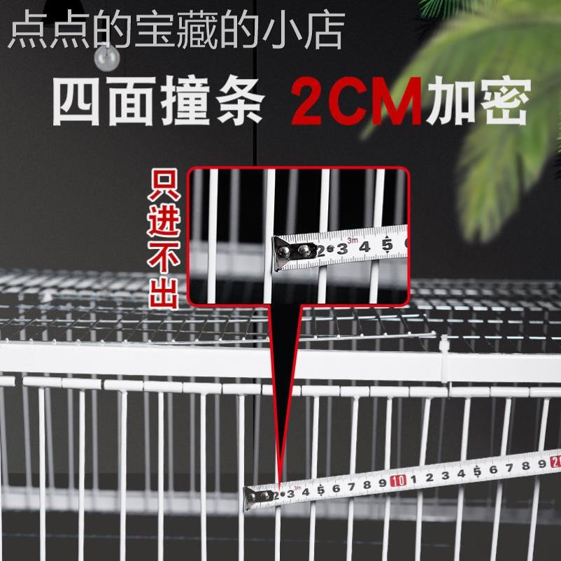 捕鸽神器抓鸽子笼全自动抓鸽屋顶鸽子回收神器撞门只进不出。