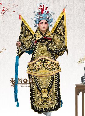 好货戏服京剧豫剧戏曲戏剧服装武将武生将军古装表演演出男大靠绉