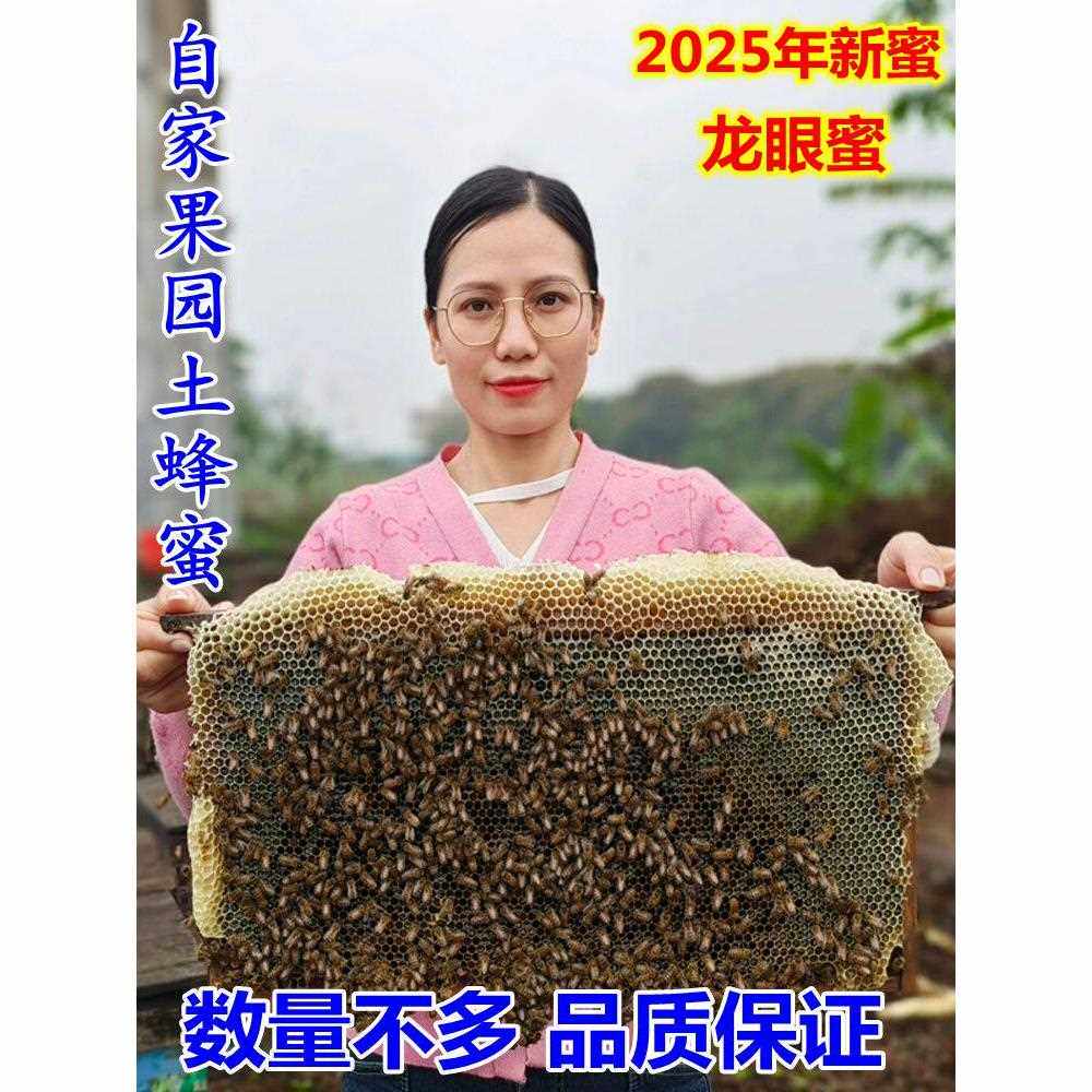 龙眼蜜桂圆蜜 农家自产土蜂蜜原蜜新蜜不加糖500g包邮多买有优惠