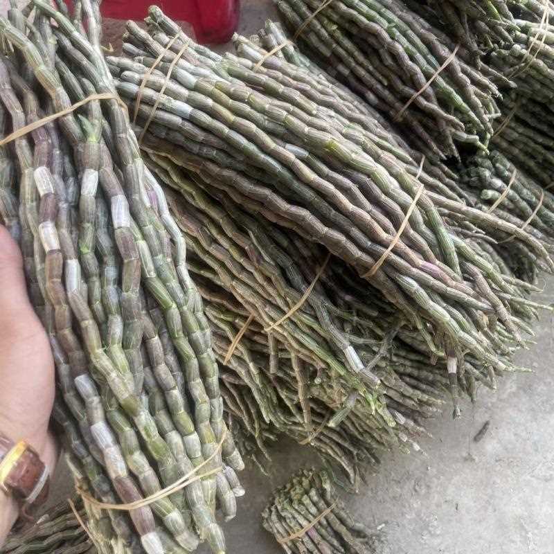 新鲜铁皮石斛鲜条500g乐清雁荡山四年生枫斗石斛浙江安徽材干