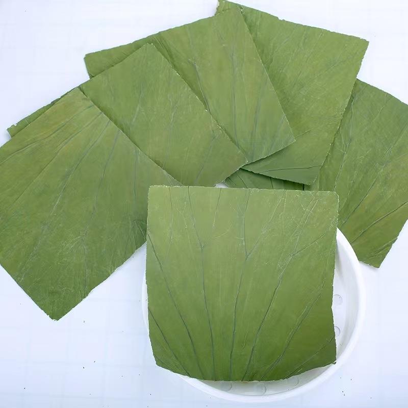 山东济宁微山湖荷叶整张新鲜商用蒸饭荷叶鸡 糯米鸡专用方形荷叶