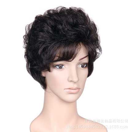 新款直销中老年人假发中年假发女式送妈妈女士短卷发假发套送婆婆