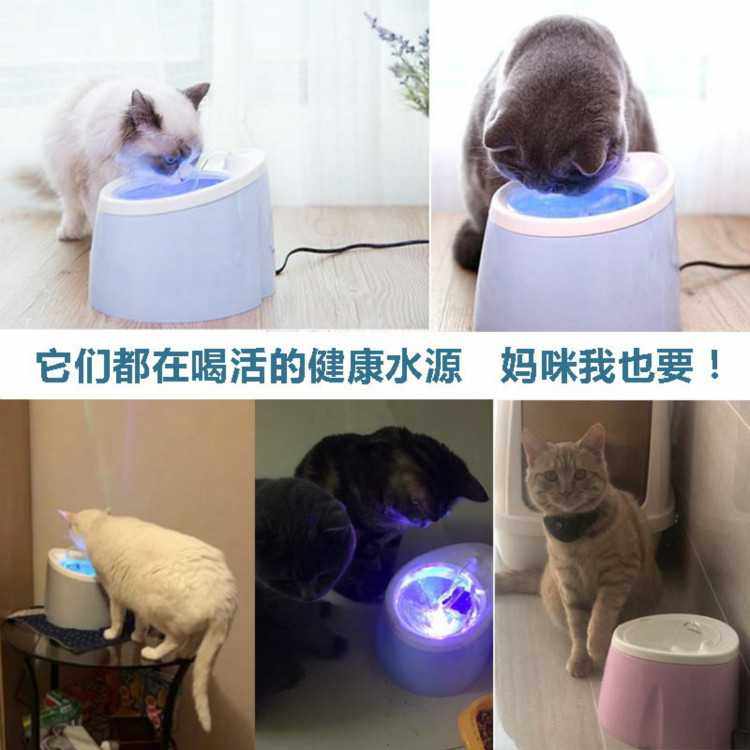 新款直销猫咪电动过滤饮水机宠物饮水器猫喝水器自动循环狗狗喂水