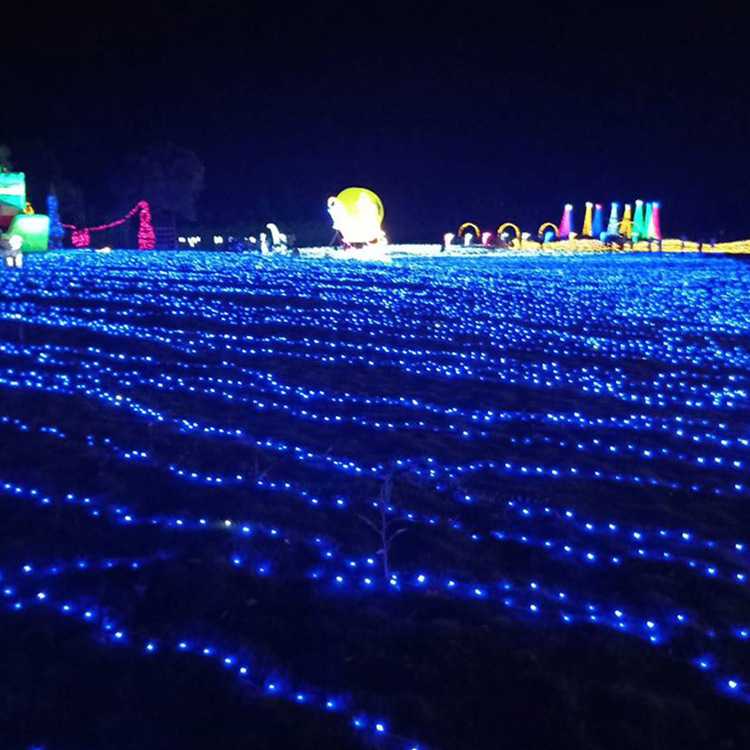 新款直销LED24V低压灯串户外防水工程亮化街道圣诞装饰满天星绕树