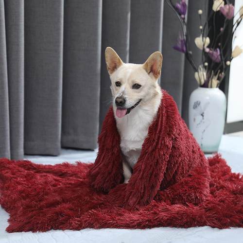 新款直销宠物毯子夏季空调保暖猫咪狗狗宠物盖毯狗窝垫子长毛绒宠