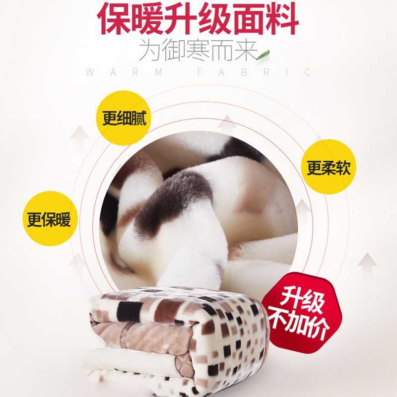 新款直销拉舍尔毛毯双层加厚冬季保暖毯子午睡盖毯学生宿舍法兰绒