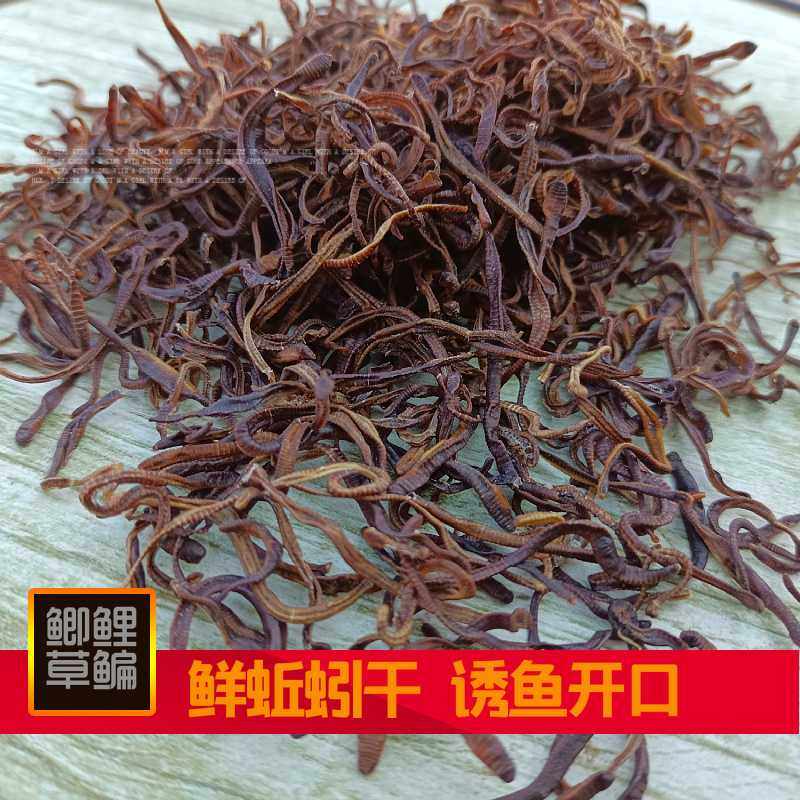 新款直销速聚达饵料添加鲜蚯蚓干诱鱼开口上鱼快鲫鲤草鳊钓鱼饵料,户外/登山/野营/旅行用品,台钓饵,淘宝优惠券,粉丝福利购,淘宝优惠卷