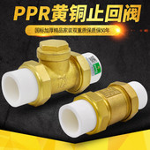 4分PPR水管管材配件 止回阀逆止阀单向阀20 PPR止回阀黄铜卧式 立式