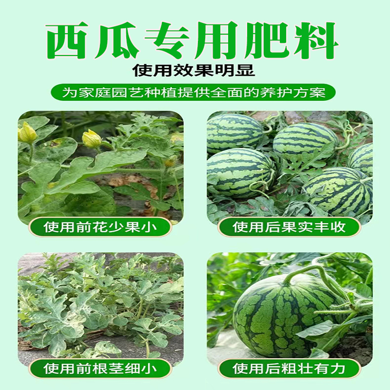 西瓜专用肥料家用室内外盆栽西瓜有机复合肥钙镁肥植物通用水溶肥