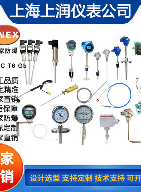 SWZ热电阻上海上润仪表