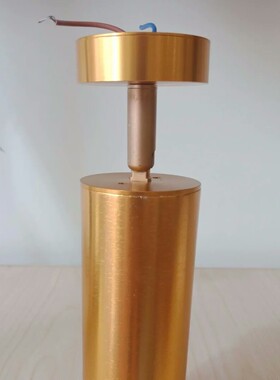 土豪金色银色玫瑰色白色轨道吸顶射灯 7W9W12W15W可调光轨道灯