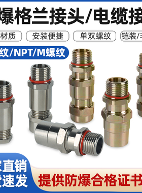 防爆格兰头BDM-BN各种规格样式防爆填料函3寸4寸铠装电缆夹紧接头
