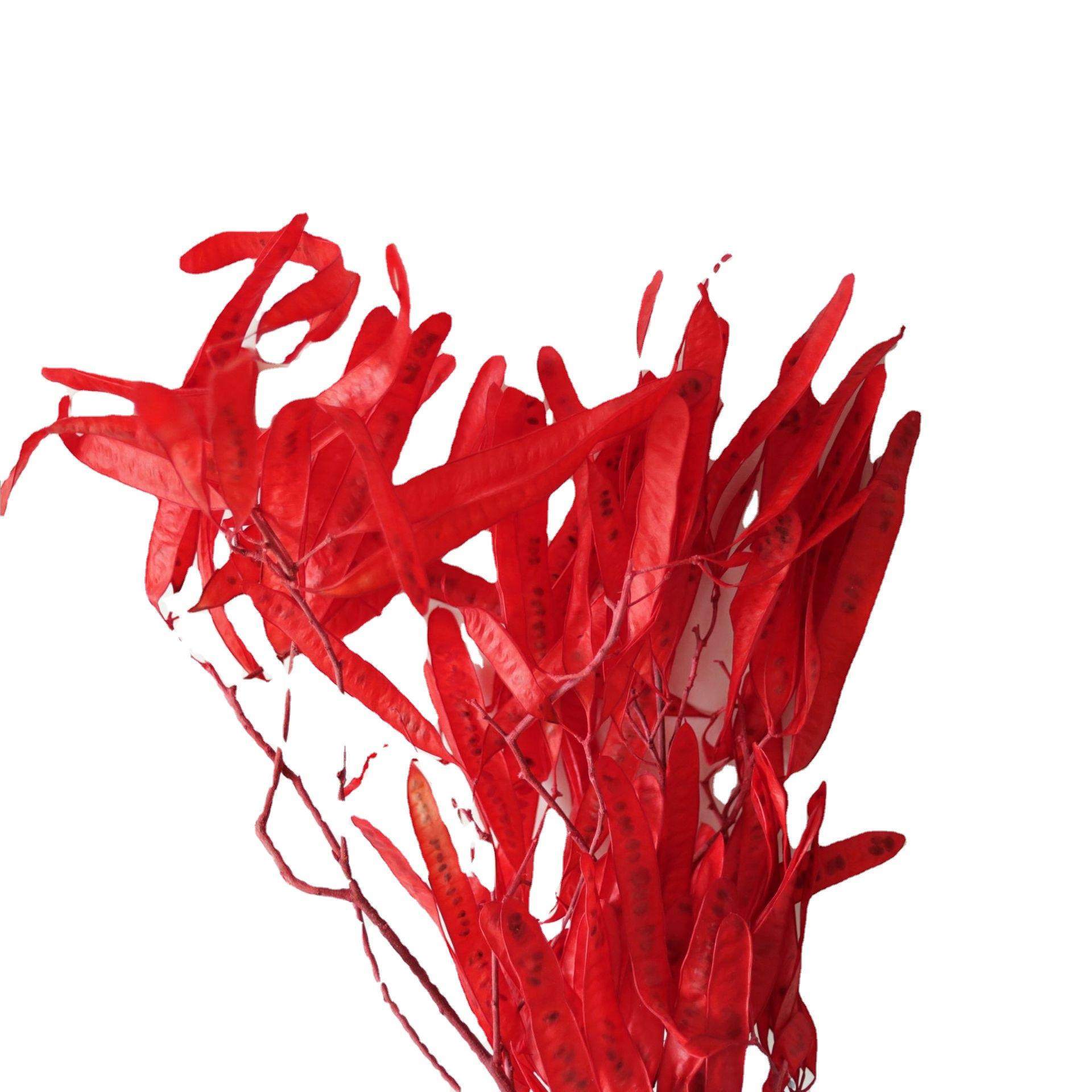 永生豌豆扁豆夹福豆干花花束厂家花瓶样板房插花花材花艺装置,家居饰品,餐桌花艺,淘宝优惠券,粉丝福利购,淘宝优惠卷