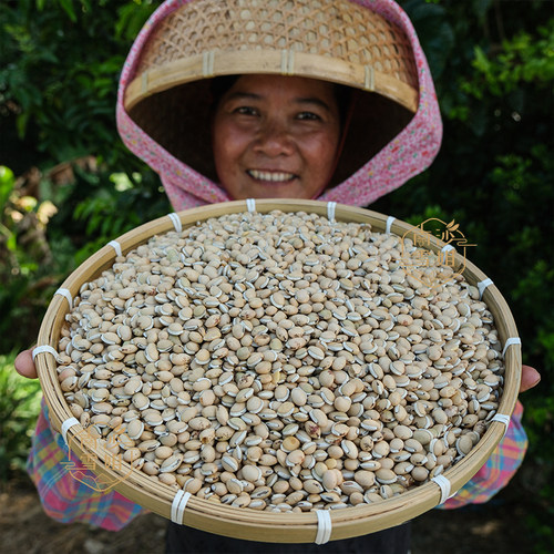 广东粤北农家老品种白扁豆