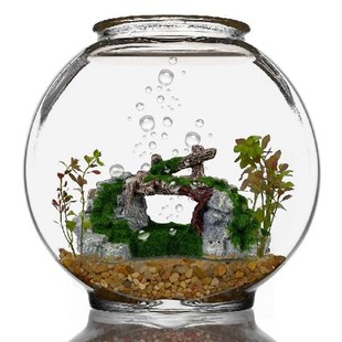 Rockery Ornaments 新品 Landscape Aquarium Home Decorations