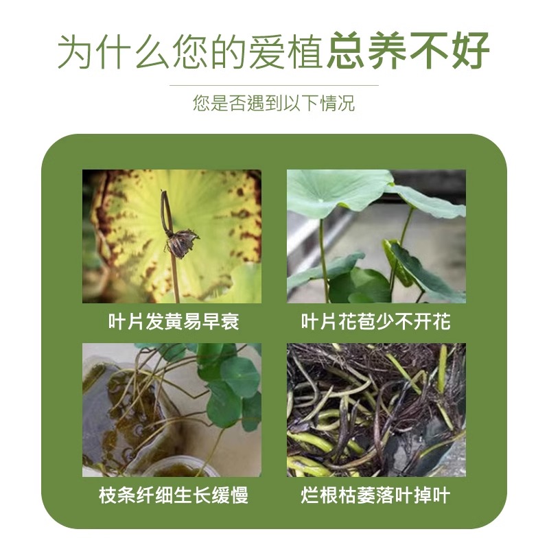 碗莲睡莲营养液肥料专用肥生根发芽促开花莲花荷花水培植物水溶肥