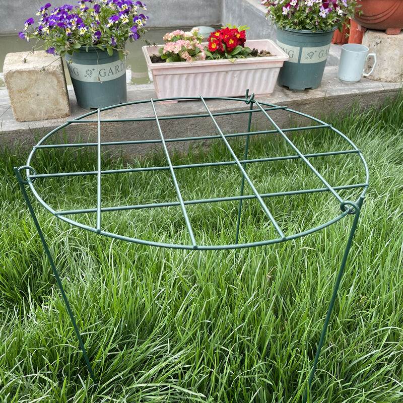 绣球蓝雪花月季蟹爪兰花架爬藤架子草莓支撑架固定绿植物支架杆网