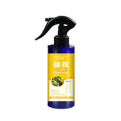 极速桂花枯叶病黄叶焦叶尖干叶虫孔叶斑病落叶专用肥桂花树肥料营